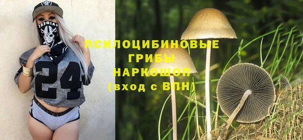 a pvp Володарск