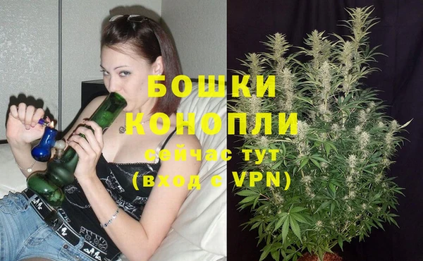 гашик Волоколамск