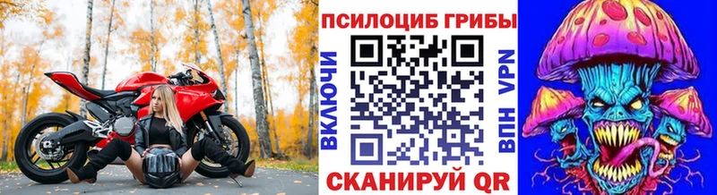 Галлюциногенные грибы мицелий  закладка  Динская 